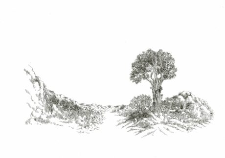 Landscape